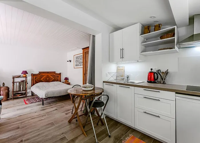 Holiday home : Dependance Charmante A 400 M De La - Fr-1-433-140 Arcachon